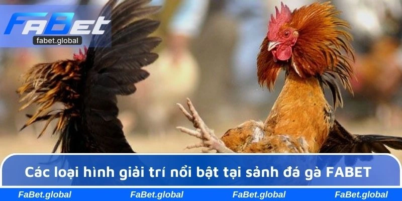Các hình thức đấu chiến kê tại FABET